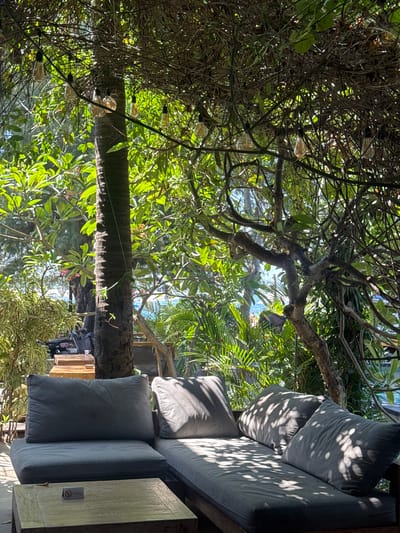 The image shows an outdoor seating area with a large sectional sofa and a wooden coffee table, bathed in dappled sunlight filtering through lush green foliage and vines overhead. String lights are visible hanging from the branches. The sofa is covered in grey cushions. A small sign with a no-smoking symbol is placed on the coffee table. In the background, there is a palm tree and more greenery, with hints of blue water suggesting a coastal or poolside location. The overall impression is one of a tranquil, shaded outdoor lounge. The location is identified as Unknown, Indonesia. There are no people visible in the image.