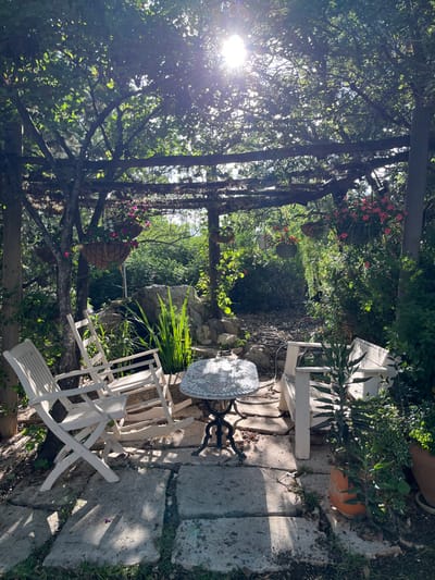The image shows a patio area in Alon HaGalil, Israel, located at 32.755 latitude and 35.219 longitude. The patio is shaded by a wooden pergola covered in vines with hanging baskets of pink flowers.  There are four white chairs and a small table with a mosaic top. The patio floor is made of stone tiles. The surrounding area is lush and green, with a large rock outcropping to the left of the patio. There are plants in pots and a small tree to the right of the patio. The sun is shining brightly, casting shadows on the patio.  The setting suggests an outdoor dining or relaxation space.