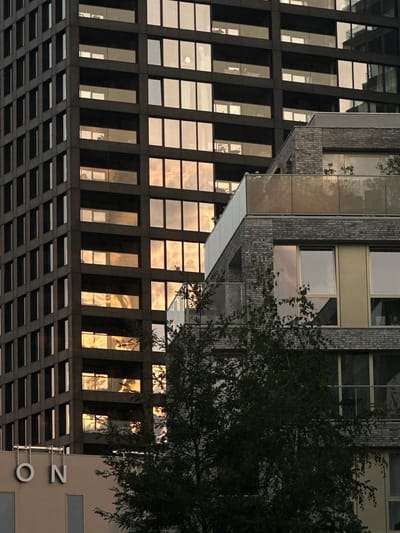 The image captures a close-up view of modern architecture in Amsterdam, Netherlands, characterized by two prominent buildings with dark facades and numerous windows reflecting the sky. The building on the left is a taller, darker structure with a grid-like pattern of windows. The building on the right is shorter and features a facade of brickwork and glass, with balconies. The reflections in the windows of both buildings are a striking element, showing warm hues of orange and yellow, indicative of sunset or sunrise, interspersed with darker shades that suggest clouds. A lush green tree with a dense canopy partially obscures the lower section of the right building and extends into the foreground. In the bottom left of the frame, a portion of another building is visible, featuring a light-colored facade with the letters "ON" in large, white, three-dimensional lettering. The overall impression is one of urban density and the interplay of light and shadow on contemporary structures. There are no discernible people or animals in the image.