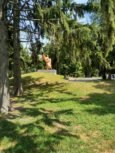 The image captures a memorial in the city of Nosivka, Ukraine, situated within a park-like environment. A golden bronze sculpture depicting two figures, one holding a flag, stands prominently on a tiered stone pedestal atop a grassy hill. The sculpture is positioned towards the right side of the frame, with a large tree trunk in the foreground on the left, its bark rough and textured. Dense green foliage from spruce trees with drooping branches overhangs the scene, casting dappled shadows on the sunlit grass. In the background, more trees create a lush, verdant backdrop, and a paved area with some structures suggests a pathway or a dedicated memorial space. The sky is visible through the branches, appearing clear and blue. The overall scene is one of solemn remembrance within a natural, outdoor setting.