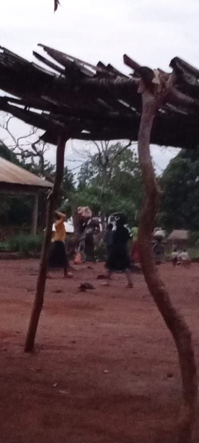 The image depicts an outdoor scene in Fizi, Democratic Republic of the Congo, characterized by an overcast sky and soft, diffused lighting. In the immediate foreground, a rustic, dark-colored wooden canopy structure is present, supported by two vertical, irregularly shaped wooden posts that partially frame the central view. The ground throughout the visible area consists of reddish-brown compacted earth.
In the midground, approximately six to eight individuals are discernible, appearing blurred due to the image's low resolution and focus. One person on the left wears a light-colored, possibly yellow, top and a dark skirt or trousers. Another prominent figure towards the right is dressed in dark clothing, with an indistinct feature on their head, possibly an object being carried or a complex head covering. Other figures are visible further back, some appearing to carry items on their heads. Their specific actions or interactions are not clearly identifiable. A small, dark, irregular object rests on the ground between the two more distinct foreground figures.
In the background, to the left, a structure with a sloped, light-brown or tan roof is partially visible. The majority of the background is filled with dense green foliage and trees, suggesting a verdant environment. The sky is uniformly light gray.