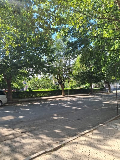 The image depicts a street scene in Yeghegnadzor, Armenia, on a sunny day. The foreground is dominated by a street with a cobblestone sidewalk on the right. The street surface appears to be a mix of asphalt and gravel, with some visible wear and tear, including small potholes. Shady patterns from trees are cast across the road.
A row of neatly trimmed green bushes runs along the left side of the street, separating it from what appears to be a park or a garden area behind it. Several mature trees with full, green canopies line the street, providing shade. In the background, behind the bushes and trees, glimpses of buildings are visible.
On the far left of the image, the rear portion of a light-colored vehicle, possibly a silver hatchback, is parked. There are no people visible in the frame. The overall impression is one of a quiet, tree-lined street in a residential or public area of the city. The lighting suggests it is likely morning or afternoon due to the strong shadows.