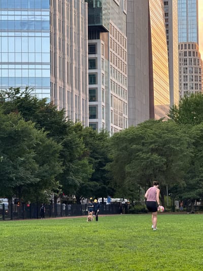 In a city park in Chicago, Illinois, a woman wearing a purple tank top and black shorts is standing on a green grassy field, holding a colorful soccer ball. Behind her, a dense line of trees separates the park from a row of tall, modern skyscrapers. In the background, several people are walking and standing near a fence, and a golden retriever on a leash is being walked by a person wearing a yellow hard hat. The sun appears to be setting, casting a warm glow on the windows of the buildings.