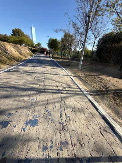 A wide-angle, low-angle photograph depicts a worn concrete pedestrian and cycling path in Puebla City, Mexico, under a clear blue sky. The path, characterized by extensive cracking and patches of faded blue paint, extends into the distance, bordered by white lines and a narrow curb on the right.
In the background, a distinctive light-blue, cylindrical skyscraper, identified as Torre Natyvo, stands prominently against the skyline to the left. To the left of the path, a grassy embankment slopes upward, densely covered with trees and shrubs. To the right, a flatter grassy area is lined with numerous deciduous trees, some appearing bare, and a leaning metal utility pole with an attached box.
Four individuals are visible walking away from the camera on the path in the mid-ground. Two are closer to the left side, one appearing smaller, possibly a child. The other two are further back; one is accompanied by a small, dark-colored dog on a leash. Another figure or dog is faintly visible further down the path on the right side. Long shadows from unseen objects fall across the path from the left. The scene indicates an outdoor recreational area during daylight hours.