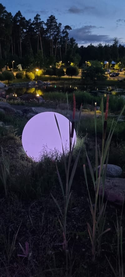 A large, luminous sphere emitting a soft purple light sits on the ground amidst tall grasses and reeds. The sphere is positioned in the foreground of the image. In the midground, a body of water reflects the ambient light from scattered lamps in the background. The background features a line of tall pine trees against a twilight sky. The location is identified as Barvikha, Russia. There are no people visible in the scene.