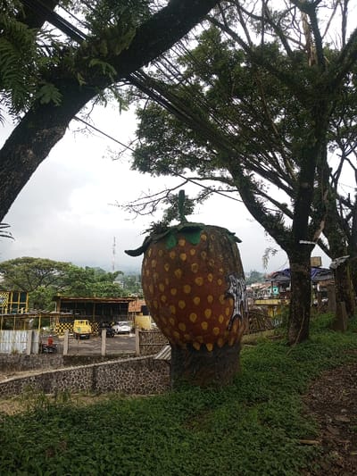 A large strawberry sculpture stands beside a stone wall. Brown with yellow spots and a green leafy top, it's situated among trees with hanging vines. In the background, buildings and a parking area are visible, with several vehicles parked. A telecommunications tower is also discernible in the distance. The scene is overcast, suggesting a cloudy day. The ground is covered in green plants.