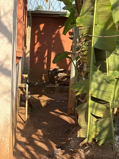 The scene depicts a narrow outdoor passage in Umuoye, Nigeria, under strong sunlight casting elongated shadows. To the left, a light-colored building wall with reddish-brown decorative trim features a vertical and horizontal assembly of white PVC pipes. To the right, large green banana leaves partially obscure the view. The ground consists of reddish-brown dirt or gravel, showing evidence of moisture in the mid-ground. In the background, an unpainted reddish-brown wall or fence is visible, topped with a deterrent, possibly razor wire, against a clear sky. An overturned, dark metal chair or table frame rests near the base of the back wall, adjacent to a pile of flattened cardboard boxes or similar debris. A single piece of light-colored litter is present on the ground in the foreground. No individuals are visible.