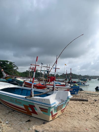 The image depicts a harbor in Weligama, Sri Lanka, with numerous colorful fishing boats docked on a sandy beach and in the calm water. The sky is overcast, with dark clouds suggesting the possibility of rain. The foreground features several of these traditional fishing boats, some partially on the sand and others in the water. The boats are adorned with vibrant paintings and names, such as "Neil Marine" visible on one of the vessels. Fishing gear, including poles and nets, are present on some of the boats. In the background, a line of trees and lush vegetation can be seen along the coastline, with more boats scattered across the water, some further out towards the horizon. The overall scene captures the daily life and industry of a coastal fishing community.