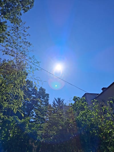 This is a low-angle shot of a bright, sunny sky with lens flare from the sun. Lush green trees and foliage fill the right and bottom portions of the frame. A portion of a building with a grey facade is visible in the upper right corner. A thin black wire stretches diagonally across the sky. The scene suggests a warm, clear day, likely during daytime. The vibrant greenery and clear blue sky evoke a feeling of pleasant weather. The presence of a building suggests an urban or suburban setting. There is no visible text.