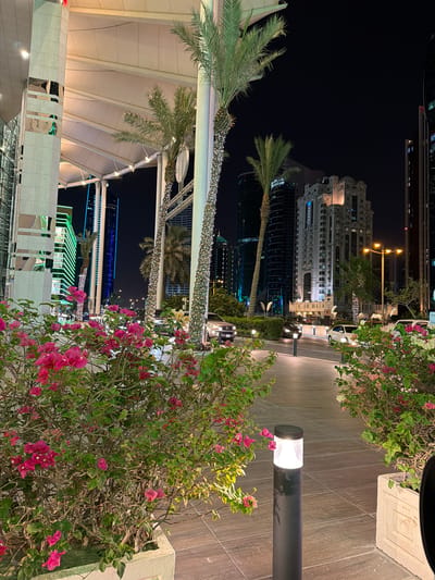 This media file captures a vibrant urban night scene in Doha, Qatar, featuring a mix of modern and traditional architecture, lush greenery, and extensive artificial lighting.
In the foreground, framing the right and lower sections of the image, are dense bushes adorned with numerous bright pink flowers, likely bougainvillea. A modern, dark-colored street lamp with a glowing white light stands prominently on the right, illuminating the surrounding foliage and a paved walkway with a tiled pattern.
Moving towards the mid-ground, several tall palm trees with green fronds are visible. The trunks of some palm trees and parts of the overhead structures are decorated with numerous small, bright string lights, creating a festive atmosphere. On the left side, large white tensile fabric structures or canopies, possibly covering a pedestrian area or outdoor space, are illuminated from below. A glimpse of a white car is visible on a street or driveway in the mid-ground on the right.
The background is dominated by the city's architecture under a dark night sky. A prominent, light-colored multi-story building with a more classic or traditional architectural style and many windows stands out. Adjacent to and behind it are several taller, modern skyscrapers, some with reflective surfaces and illuminated interiors. Various lights from these buildings, including striking blue and green accents on some structures, contribute to the dynamic urban nightscape. The scene appears peaceful, with no people or specific activities clearly visible. There is no legible text in the image.
