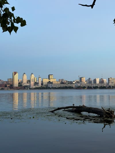 This is a photograph of a city skyline viewed from across a body of water. The cityscape features numerous tall buildings, suggesting an urban environment. The water is calm, with reflections of the buildings visible on its surface. A large, dead tree trunk with exposed roots is partially submerged in the water and extends out of the frame, covered in aquatic plants. In the foreground, dark green leaves and branches of a tree are silhouetted against a pale blue, clear sky. The overall lighting suggests it might be early morning or late afternoon, possibly during a clear day. The scene appears serene, with the natural elements of the tree and water contrasting with the man-made structures of the city. The presence of a city skyline along a waterway in Dnipro, Ukraine, provides a specific geographical context. There is no visible text in the image.