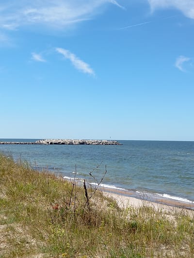 The image depicts a scenic view of the Baltic Sea in Liepaja, Latvia, on a clear, sunny day. In the foreground, tall, dry grass and vegetation cover sand dunes, with a few small yellow flowers visible amongst the greenery. A slender, dead branch protrudes from the sand. The middle ground features a sandy beach with gentle waves lapping at the shore. Beyond the beach, a long, man-made breakwater stretches out into the sea, constructed from large, light-colored stones. Several small figures, appearing to be people, are scattered along the breakwater. The sea is a deep blue-green, with visible ripples and whitecaps. The horizon is a sharp line separating the sea from a vast, clear blue sky. Wispy white clouds drift across the sky, with a faint contrail visible in the upper right portion of the frame, suggesting an airplane passed overhead. The overall impression is one of a tranquil coastal landscape.