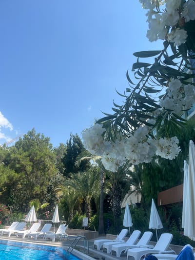 A low-angle outdoor, eye-level shot captures a sunlit scene by a swimming pool, likely in Alanya, Turkey, given the flora and architecture. The foreground features the vibrant blue water of a swimming pool with a metal ladder. Along the pool's edge are rows of empty white lounge chairs, some equipped with white umbrellas. Lush green trees, including palm trees, and dense foliage form a backdrop, with a modern building visible behind the greenery on the right. White flowers cascade from branches in the upper right of the frame, adding a touch of natural beauty. The sky above is a clear, bright blue with a few wispy clouds on the left. A construction crane is partially visible above the trees in the distance on the left side.