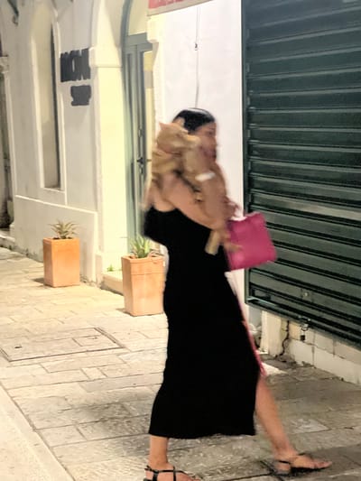 A woman in a black dress walks down a paved street at night, carrying a light brown cat over her right shoulder. She holds a bright pink bag in her left hand. The street is lined with buildings, one of which has a dark metal shutter. Two terra cotta planters with small plants are positioned on the sidewalk. The scene appears to be in Herceg Novi, Montenegro.
