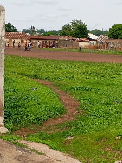 This image depicts an outdoor scene in Shendam, Nigeria, featuring a group of people, predominantly children, gathered in a dusty area adjacent to a grassy field. The background consists of modest buildings with corrugated metal roofs, suggesting a residential or community area. Several individuals, mostly young boys and girls, are scattered across the dusty ground, appearing to be engaged in informal activities. Some are standing, possibly watching or interacting with others, while a few are seated.
The environment appears to be a dry, open space that serves as a communal gathering spot. The grassy area in the foreground is dense and vibrant green, with a winding dirt path cutting through it. The sky is overcast, indicating a cloudy or possibly humid day. The overall impression is one of everyday life in a Nigerian community, with people utilizing the available open space for recreation or socializing. There is no visible text in the image. The time of day is indeterminate but seems to be during daylight hours.