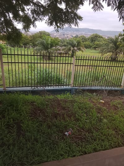 The image depicts a view of Nsukka, Nigeria, from a slightly elevated position, framed by overhanging tree branches. A black metal fence with decorative finials runs horizontally across the mid-ground, separating a foreground area of overgrown green grass from a field of taller grass and palm trees behind it. Beyond the palm trees, the city of Nsukka stretches out, with buildings nestled amongst lush green vegetation and a hilly landscape forming the backdrop. The sky is overcast, suggesting a cloudy or potentially rainy day. In the foreground, near the base of the fence, dry branches and a piece of red and white plastic litter are visible amongst the grass. The overall scene suggests an outdoor environment, possibly a park or a residential area on the outskirts of the city, experiencing a period of dense vegetation growth.