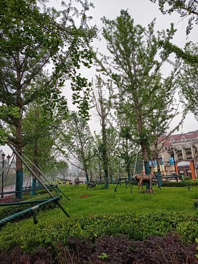 The image depicts a park in Shuangfu, China. Lush green foliage dominates the foreground, with trees lining a grassy area. In the background, buildings and other structures are visible, suggesting an urban setting. A sculpture of a deer stands on the grass. A row of metal framework supports runs alongside the edge of the park. The sky appears overcast.