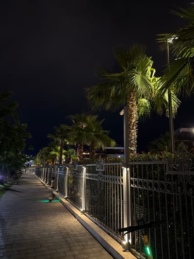 The image depicts a nighttime scene in Sirius, Russia, along a pedestrian walkway lined with palm trees and an ornate metal fence. The walkway is paved with rectangular bricks and illuminated by rows of modern, linear lights affixed to the fence structure. A few scattered green lights are also visible along the walkway, possibly indicating charging stations or some form of pathway illumination.
The dominant subjects are the palm trees, their fronds brightly lit by the artificial lights, creating a dramatic contrast against the dark night sky. The metal fence, with its intricate patterns, runs along one side of the walkway, separating it from an area with lush greenery and some smaller plants.
There are no discernible people in the foreground. In the distance, however, a few figures can be seen, suggesting the area is a public space, possibly a promenade or a park. There are also some parked scooters or bicycles visible along the walkway, implying a mode of transportation used by visitors or residents.
The time of day is clearly night, characterized by the deep darkness of the sky and the artificial lighting. The weather appears to be clear, with no indication of rain or fog. The presence of palm trees, while not typical for much of Russia, might suggest a subtropical or specifically developed climate zone within Sirius, or that these are ornamental plantings designed to evoke such an atmosphere.
No legible text is visible in the image, except for what appears to be a license plate on one of the scooters or bicycles in the distance. The overall mood is serene and modern, with the lighting creating a visually appealing and welcoming ambiance for a nighttime stroll.