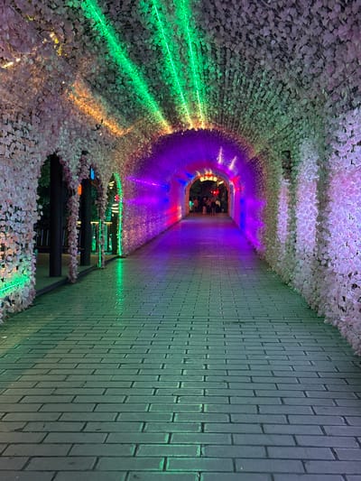 The image shows a tunnel-like structure in Wulingyuan, China. The walls and ceiling of the tunnel are heavily decorated with white and light pink artificial flowers or leaves. Colored neon lights are installed along the tunnel's perimeter, creating a vibrant, artificial ambiance. The tunnel's color gradient transitions from green at the left end to purple and red towards the far end. On the right side of the tunnel, a gray brick wall is visible, illuminated by a greenish light. There are a few dark-colored horizontal bars visible, which appear to be structural elements or supports. The far end of the tunnel is partially visible, showing blurry lights and shapes, suggesting the presence of objects and structures beyond. No people are visible in the image.
