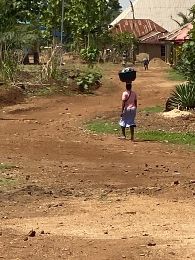 The image captures an outdoor scene in Maigizo, Nigeria, featuring a dirt path flanked by vegetation and buildings. The setting appears to be a rural or semi-rural area under bright daylight.
In the middle ground, a person, likely a woman, walks along a wide, unpaved dirt path. She is seen from behind, wearing a light-colored top and a blue skirt or wrap. Notably, she carries a dark, circular object, resembling a basin or container, balanced on her head, a common method of carrying goods in the region. Further in the background, closer to the left side, another smaller figure can be seen near a building.
The background reveals several structures, consistent with residential dwellings. One prominent building on the left features a distinct rusted corrugated iron roof and light-colored walls, partially obscured by lush green trees and bushes. The ground is a reddish-brown dirt track, uneven and speckled with small stones and debris, with patches of green grass growing on the edges. The bright, clear lighting suggests it is daytime, possibly mid-morning or afternoon, with direct sunlight casting minimal shadows from the main subject. There is no visible text in the image. The scene portrays a typical moment of daily life within the community.