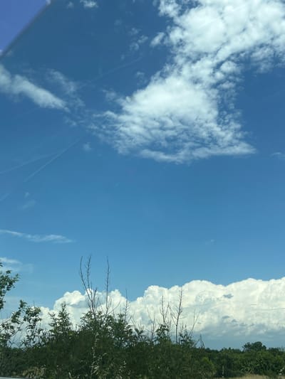 The image depicts a rural or semi-rural landscape in Tsaratsovo, Bulgaria, dominated by a clear blue sky with varied cloud formations. The upper two-thirds of the frame are occupied by an expansive, bright azure sky. Scattered white, cumulus clouds are present throughout the upper sky, with several faint, linear contrails from aircraft visible, particularly in the upper-left quadrant. A large, dense bank of white cumulus clouds with darker grey undersides occupies the lower portion of the sky, extending horizontally across the frame and partially obscured by foreground vegetation.
The lower third of the image is comprised of a dense green landscape primarily consisting of deciduous trees and shrubs. The foliage forms a continuous line, suggesting a natural boundary or a field edge. Several slender, mostly bare branches of taller plants or small trees extend vertically above the main canopy of green leaves, particularly in the central-left area. The lighting indicates a bright, sunny day, likely midday or early afternoon, with clear distinctions between illuminated and shadowed areas on the clouds and foliage. No human subjects, animals, or man-made structures are overtly visible within the natural landscape. A subtle, angled reflection, possibly from a window or windshield, is present in the upper-left corner, causing a slight blurring and darkening of the sky in that specific area.