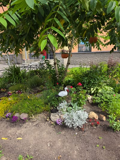 An outdoor shot shows a lush garden bed adjacent to a building. The garden is filled with a variety of green plants, flowers in shades of pink and purple, and several rocks. A white garden decoration shaped like a stork stands among the plants. In the foreground, a large tree with green leaves partially obscures the view. The building behind the garden has an orange-toned facade with gray brick accents and visible windows. The scene appears to be set during the daytime, with soft lighting suggesting overcast or cloudy weather. The overall impression is one of a well-maintained, verdant garden.