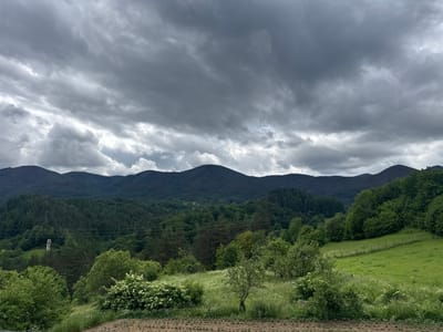 A wide shot captures a pastoral landscape under a heavily clouded sky. In the foreground, a patch of tilled earth is visible, suggesting cultivation. Beyond this, a gently sloping green meadow is dotted with trees and shrubs, some in bloom with white flowers. A simple wooden fence runs along the edge of the meadow, separating it from a wooded hillside.
The midground is dominated by a dense forest that extends up the slopes of a series of rolling mountains. The trees are primarily deciduous and coniferous, with varied shades of green indicating different species and stages of growth. Power lines are strung across the middle distance, supported by poles, hinting at human presence.
In the far distance, the mountain range is a dark, undulating silhouette against the overcast sky. The clouds are thick and gray, with some lighter patches suggesting breaks or thinner areas, creating a dramatic, somber atmosphere. The overall scene depicts a rural, mountainous region, consistent with the environment found in and around the city of Arda, Bulgaria. No people or animals are visible in the image.
