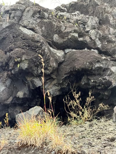 A close-up, eye-level, medium shot captures a section of a rocky, uneven terrain with vegetation. The primary subject is a large, dark, porous volcanic rock formation, likely lava rock, which dominates the upper two-thirds of the frame. The rock face is textured and irregular, with visible cracks, crevices, and what appears to be a dark opening or cave entrance in the center. Some small green plants and dry, straw-colored grass are growing in clumps in the foreground and around the base of the rock formation. The lighting is somewhat overcast, with a bright sky visible at the very top, suggesting an outdoor environment. The scene is devoid of any human presence or activity. The location is identified as the city of Kintamani, Indonesia.