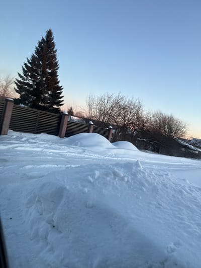 The image captures an outdoor winter scene in Bilimbay, Russia. The sky is largely clear, displaying a gradient from a pale pinkish-orange near the horizon to a light blue overhead. The ground is uniformly covered in a thick layer of snow. In the immediate foreground, a large, irregularly mounded snowdrift is present on the right. To its left, a path or cleared area of snow shows discernible tire tracks or boot prints. A horizontal slatted fence, dark in color, with reddish-brown brick pillars, extends across the midground. Behind this fence, two prominent, rounded snowdrifts are visible. On the far left, a tall, dark green coniferous tree stands against the sky, partially obscuring the fence. Beyond the fence line and snowdrifts, an expanse of bare deciduous trees and bushes stretches across the mid-to-background, with faint structural outlines visible in the distant right background. No individuals are present.