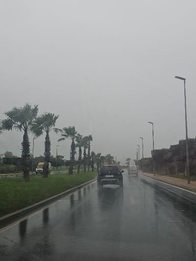 A long, wet roadway scene shows cars driving in the rain. Palm trees line a grassy median beside the road. Streetlights stand tall on either side of the road. The sky is overcast and grey, and the rain obscures distant views. The road surface is slick and reflective.