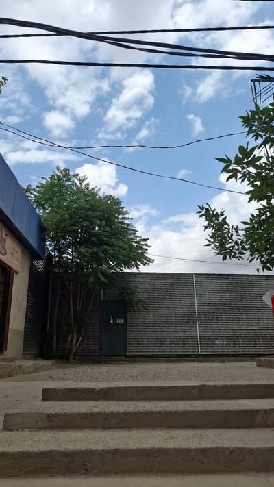 This is a full-shot, eye-level, outdoor photograph of a shaded area with a large, grey, corrugated metal wall occupying the middle ground. To the left of the wall, a small, green door is visible, with a tall tree with dense, green foliage in front of it and slightly to the left. A portion of a building with a blue overhang and grey walls is visible to the far left. In the foreground, a set of concrete steps leads up to a slightly elevated concrete area. The sky above is blue with scattered white clouds, and several black power lines are strung across the top of the frame. The image appears to be taken in the city of Shymkent, Kazakhstan, suggested by the specific architectural style and the presence of power lines commonly seen in urban areas of the region. There are no people or animals visible in the scene.
