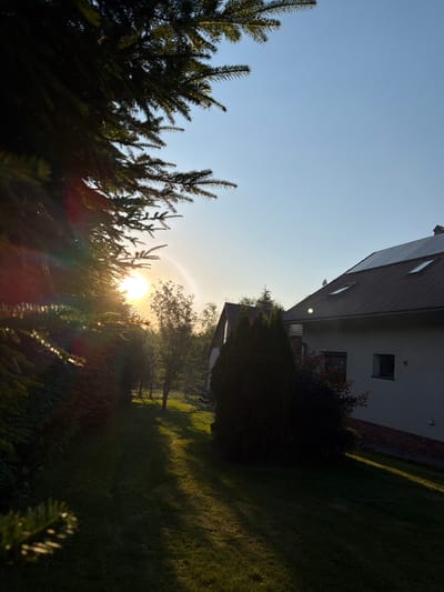The photograph captures a sunlit yard with a house in Mordarka, Poland. The sun is low in the sky, casting long shadows across the green lawn. In the foreground, a large evergreen tree with dark green needles is partially visible on the left, its branches reaching towards the sun. The sun itself is a bright, slightly hazy orb, creating lens flare and a rainbow-like halo effect in the air.

Behind the tree, a walkway or path leads into the yard, bordered by more evergreen bushes and trees. The lawn appears well-maintained. In the background, a two-story house with a dark-colored, sloped roof is situated on the right. The house has a white facade, with at least one window visible. Solar panels are installed on the roof. Another smaller building with a peaked roof is partially visible to the left of the main house. The sky is clear and blue, with a gradient of lighter blue near the horizon. The overall scene suggests a quiet, residential setting during sunrise or sunset.