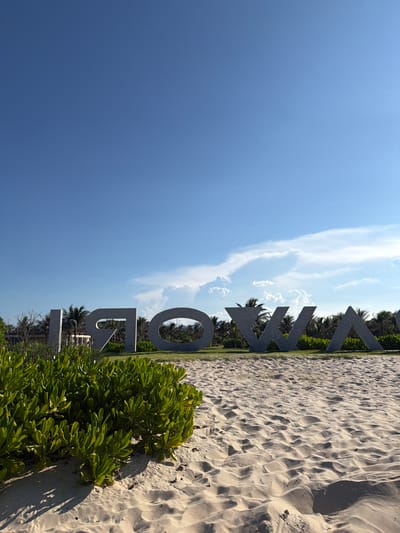 A beach scene in Cam Ranh, Vietnam, features a large, gray, three-dimensional sign spelling out "NOWA" in uppercase letters. The letters are spaced apart and made of a textured, stone-like material. They are positioned on a grassy area behind a sandy beach. The beach in the foreground is made of light-colored sand with visible ripples and shadows cast by sunlight. Lush green bushes are growing on the left side of the sand. In the background, beyond the sign, are palm trees and other tropical vegetation, suggesting a resort or coastal location. The sky is a clear, bright blue with a few wispy white clouds. The lighting indicates it is daytime, with the sun casting distinct shadows. There are no people or animals visible in the image.