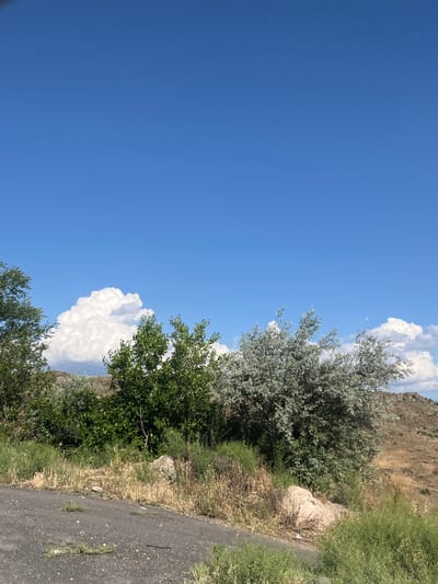 This is a vertical, outdoor, eye-level shot of a landscape scene in Gladzor, Armenia. The image is dominated by a vast, clear blue sky on the left side, with a few fluffy white clouds scattered towards the right. The right side of the image features a dry, grassy hillside with several trees and bushes.

In the foreground, a rough, dark asphalt road or path runs along the bottom right of the frame, bordered by dry grass and low-lying green bushes. Further up the hillside, a large, light-colored rock is visible amidst the dry vegetation. There are two distinct types of trees: one with silvery-green, bushy foliage and another with darker green, leafier branches. The hillside itself appears to be a rocky, arid terrain.

The lighting suggests it is daytime, likely late morning or afternoon, with bright sunshine. The weather appears to be clear and warm, typical for a summer day in Armenia. There are no people or specific objects of interest other than the natural landscape. No text is visible in the image. The overall impression is one of a quiet, natural setting in a rural or mountainous region.