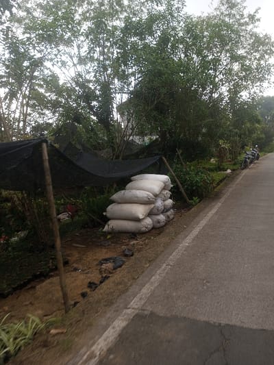 The image presents a static roadside scene in Nuwara Eliya, Sri Lanka, under diffused daylight conditions. A dark grey asphalt road occupies the right side, delineated by a faded white continuous line marking its edge. To the immediate left of this line, on a brown dirt verge, approximately twelve to fifteen off-white or light-colored sacks are stacked in a pyramid formation. Further left, a structure composed of black mesh netting, likely a shade cloth, is suspended by several wooden poles, partially covering an area of cultivated ground with green vegetation. The ground around the sacks and beneath the netting consists of disturbed brown earth with scattered dark debris. Dense green trees and various bushes form a verdant backdrop, obscuring much of the distant view. A light-colored building is partially visible through the foliage in the upper-center. Two dark-colored motorcycles are parked upright on the asphalt shoulder on the far right side of the road. No individuals are present in the scene.