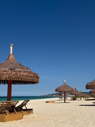 This is a horizontal, eye-level, medium-shot photograph of a beach on a clear, sunny day. The scene is located in Bac Cam Ranh Ward, Vietnam. In the foreground, two wooden lounge chairs are set up on the light-colored sand. Behind them, a thatched umbrella provides shade. Further into the scene, a line of similar thatched umbrellas stretches along the beach, some with people sitting or standing beneath them. The ocean, a vibrant turquoise, meets the shore in the middle ground, with a distant hilly coastline visible on the horizon. The sky is a deep, cloudless blue.