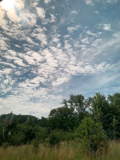 The media file displays a landscape scene, oriented vertically. The sky occupies the left half of the image, filled with scattered white cumulus clouds against a pale blue backdrop. A faint contrail is visible stretching across the cloudy expanse. The right side of the image features a dense line of lush green trees, with taller trees forming the upper boundary and a thick undergrowth of foliage below. To the far right, dry, tall grasses and some smaller yellow flowers are visible, suggesting a field or meadow bordering the trees.
The sunlight filtering through the clouds and illuminating the trees indicates it is daytime, likely late morning or afternoon, with fair weather. The overall impression is one of a natural, verdant setting. There is no visible text in the media file. The scene is devoid of people or specific man-made objects, focusing purely on the natural environment. The image evokes a sense of tranquility and the beauty of nature. Given the location context of Gießen, Germany, this could be a view of a park, forest edge, or countryside surrounding the city.