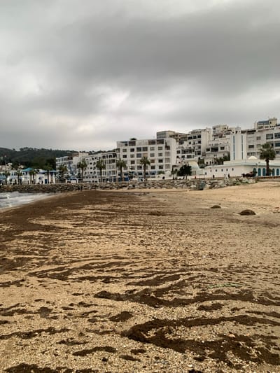 A coastal scene reveals high-rise white buildings lining a beach under a cloudy sky. Palm trees dot the landscape among the buildings. The sandy beach stretches across the foreground, marked with damp patterns. The buildings appear to be situated on a hill. The beach leads down to a line of rocks, where the water gently meets the sand.