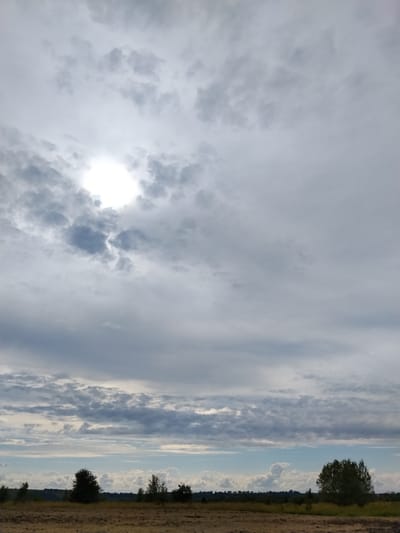 The image depicts a landscape scene with a prominent sky filled with clouds. The sun is partially visible through a break in the clouds, creating a bright, diffused light. Below the sky, there is a horizon line that separates the sky from the land. The land appears to be a field with dry, yellowish-brown vegetation, possibly dirt or sand, with some sparse green growth. A line of trees, varying in size and density, is visible along the distant horizon, with a larger, fuller tree on the right side of the frame. The background also shows a faint outline of what could be a distant settlement or undulating terrain. The overall impression is of an open, rural landscape under a dramatic, cloudy sky. The location is identified as Ustyvytsya, Ukraine.