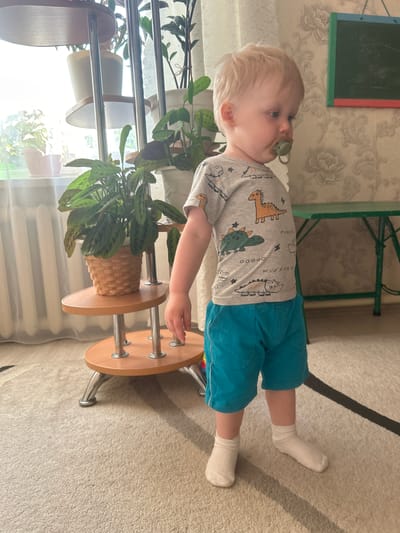 A fair-skinned toddler with blond hair and a pacifier in his mouth stands on a carpeted floor. He is wearing a grey t-shirt with a dinosaur pattern and turquoise shorts. He is standing near a plant stand with several potted plants. In the background, there is a window with white curtains, a green table, and a wallpapered wall with a floral pattern. The scene appears to be indoors, likely in a residential setting, and could be located in the city of Foki, Russia.