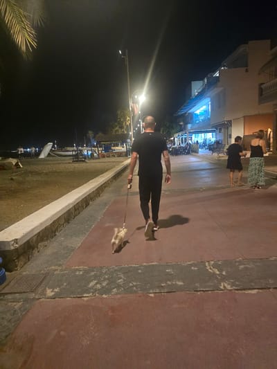 The image depicts a nighttime scene along a beachfront promenade, likely in Málaga, Spain, judging by the presence of palm trees and Mediterranean architecture. In the foreground, a man in a black t-shirt and pants walks his small, light-colored dog on a leash. The dog is trotting ahead of him. The promenade is paved with reddish-brown and grey sections. To the left of the promenade is a sandy beach with some beach chairs and umbrellas visible. Further down the promenade, there are several buildings with illuminated storefronts and balconies, suggesting restaurants or shops. Two women are visible further ahead on the promenade, one in a dark dress and the other in a tank top and a patterned skirt. Streetlights illuminate the scene, casting shadows. In the background, palm trees are silhouetted against the dark night sky.