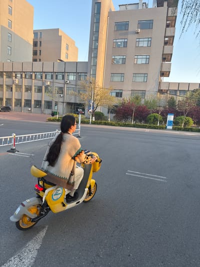 The image depicts an outdoor urban scene in Zhongtun, China, under a clear, bright blue sky. A person with long, dark hair, styled in a ponytail, is seated on a yellow and white electric scooter, facing towards the right of the frame. The person wears a light-colored sweater with a patterned trim. The scooter has a blue circular logo on its side, featuring an unreadable symbol or text.

In front of the scooter, a white and red striped barrier is visible, extending across the asphalt road, which has distinct white double lines painted on it. To the left of the road, a line of green foliage, including trees and bushes, borders the scene, separating the road from several multi-story buildings. A blue sign with unreadable white text and icons stands amidst the greenery.

The background features several modern buildings, characterized by light-colored facades, numerous windows, and visible external air conditioning units. Some buildings display unique architectural elements, including an elevated section. The scene suggests a calm daytime environment, possibly in an institutional or office area.