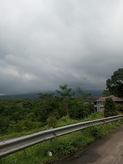 A landscape view features a gray, overcast sky dominating the scene. Lush green trees and vegetation cover the rolling terrain below. A two-story house sits among the foliage. A weathered metal guardrail runs along the edge of a paved road in the foreground. The overall impression is one of tranquility and nature, despite the gloomy weather.