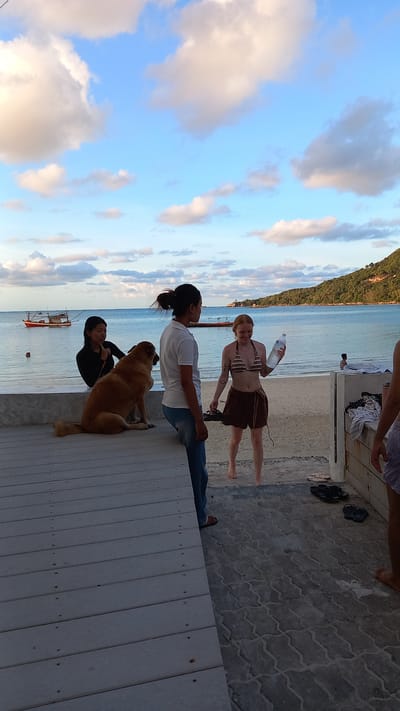 In ตำบลเกาะพะงัน, Thailand, on a beach, two women are standing on the sand near the water's edge. One woman, with red hair, is wearing a striped bikini top and brown shorts, holding a clear plastic bottle. The other woman, with dark hair pulled back, is wearing a white polo shirt and blue jeans, facing the first woman. A large, light brown dog is sitting on a wooden deck to the left, with another woman in a black long-sleeved shirt behind it, looking towards the two women on the sand. In the background, the ocean is calm with two boats visible on the water. The sky is partly cloudy with a mix of white and gray clouds against a blue sky. A tree-covered hillside is visible on the right side of the frame. The foreground consists of a wooden deck and a paved area with several pairs of flip-flops scattered on the ground.