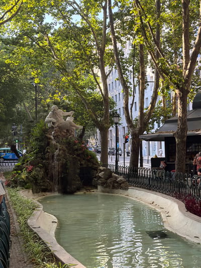 This is a medium-angle, eye-level shot of a public fountain with a sculpture in Lisbon, Portugal. The fountain has a tiered rock formation with a statue of a muscular, bearded man with a snake, seated and holding a trident. Water cascades down the rock formation into a pool. The pool has a curved edge and is surrounded by a low, light-colored wall. Green foliage, including ferns and small pink flowers, is integrated into the rock formation.
In the background, large trees with patterned bark create a canopy of green leaves that are dappled with sunlight. Beyond the trees, a modern, multi-story building with numerous windows is visible. A street runs along the right side of the fountain, with cars and pedestrians present. A dark-colored kiosk or cafe with a black awning is situated near the street, and several people are seated at tables outside it. A black metal fence with vertical bars separates the fountain area from the street. The overall environment suggests a sunny day in an urban park or public square.