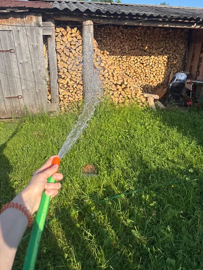 The image depicts an outdoor scene, likely in a rural or suburban area of Курган, Russia. A person's left hand, adorned with an orange coiled bracelet, is holding a green garden hose from which a stream of water is spraying into the air. The background features a wooden structure with a weathered door and a roof made of corrugated material. This structure appears to be a shed or outbuilding, and it is filled with stacked firewood. The ground is covered in lush green grass, with some yellow wildflowers visible. A small red scooter and a baby stroller are partially visible near the firewood storage. The lighting suggests it is daytime, with sunlight casting shadows on the grass.