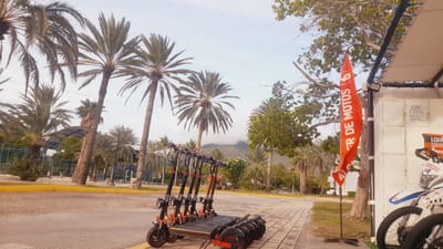 In Pedro González, Venezuela, a row of electric scooters is parked on a sidewalk next to a paved road lined with palm trees and vegetation. A red flag with white lettering, reading "ALQUILER DE MOTOS," is planted nearby. In the background, a mountain range is visible through a light haze. To the right, a white motorcycle and a rental stand with white cabinets are present. The scene appears to be an outdoor rental location, possibly for recreational vehicles.