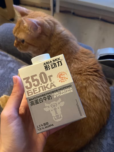 A ginger cat sits in the foreground, mostly out of focus. A person's hand is holding a carton of "ASIA MIX" high-protein milk. The carton has text in both Russian and Chinese. The Russian text states "35g PROTEIN" and "HIGH-PROTEIN MILK" along with "1.5% FAT" and "1.5% OIL". The Chinese text appears to be a brand name and product description. The background is blurred and shows a hint of furniture and a wall. There is no indication of the city or country.