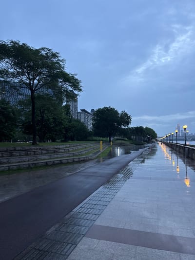 The image captures a wet, paved walkway next to a body of water, likely a river or harbor, in Haizhu District, China. The walkway is lined with streetlights that cast warm, yellow reflections on the wet pavement. Beyond the walkway, a green park area with trees and grass is visible, interspersed with buildings in the distance. The sky is overcast and the overall atmosphere suggests it is either early morning or late evening, with the dampness indicating recent or ongoing rain.
The scene appears to be a public space, possibly a promenade or park, designed for pedestrian use. The presence of lampposts and the wide paved area suggest it is a developed urban setting. The trees are lush and green, and the ground appears well-maintained, even in the wet conditions. The buildings in the background are modern, multi-story structures, hinting at a developed cityscape. There are no people visible in the image, creating a sense of tranquility and perhaps solitude. The emotions conveyed are calm and perhaps slightly melancholic due to the overcast weather and the wet environment. The overall impression is one of a peaceful, albeit damp, urban waterfront scene. No visible text is present in the image.