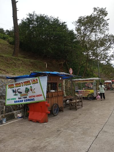 The scene depicts an outdoor street food vendor area, specified as the city of Phoxay, Laos, though prominent signs on the stalls display Indonesian language text. The ground is paved with concrete.

In the foreground and midground, two main food stalls are visible. The first stall on the left is a wooden cart, covered by a blue tarp roof. A large white banner is attached to its front, featuring "PECEL AYAM & PECEL LELE" (Chicken Pecel & Catfish Pecel) at the top, with illustrations of a rooster, catfish, and duck. Below, smaller text lists "NASI GORENG / TAHU / TEMPE / KWETIAW GORENG / BAKAR GORENG" (Fried Rice / Tofu / Tempeh / Fried Kwetiau / Grilled Fried). This stall is braced by two large, orange plastic barriers. To the immediate right of this stall, a small wooden bench or stool is present.

Further to the right, a second, smaller food stall on wheels features a yellow and white sign advertising "BUBUR AYAM & NASI UDUK" (Chicken Porridge & Uduk Rice) and "BUBUR AYAM NASI UDUK UKOY". A person, likely a woman, is standing behind this second stall, facing away from the camera, wearing a light-colored top and dark pants, holding a white bag. Additional, partially visible stalls or structures are further down the path on the right.

The background features a steep, grassy earthen slope leading up to dense green foliage and trees under an overcast sky. A tall, slender tree trunk is visible on the far left. A red circular 'No Parking' sign is mounted on a pole or tree behind the first stall. A street light pole is visible on the right side, rising above the second stall. Paint cans or buckets are situated at the base of the orange barriers next to the first stall. No active transactions are clearly depicted, but the presence of the individual suggests activity.